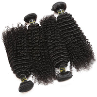 Queen Berry Malaysian Curly Wave Virgin Hair 4 Bundles Wholesale Price - Ms Virgin Hair