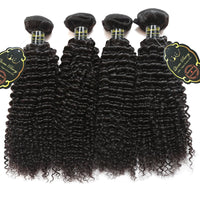 Queen Berry Malaysian Curly Wave Virgin Hair 4 Bundles Wholesale Price - Ms Virgin Hair