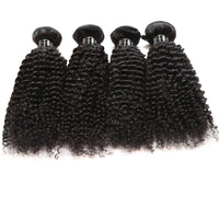 Queen Berry Malaysian Curly Wave Virgin Hair 4 Bundles Wholesale Price - Ms Virgin Hair
