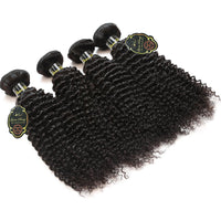 Queen Berry Malaysian Curly Wave Virgin Hair 4 Bundles Wholesale Price