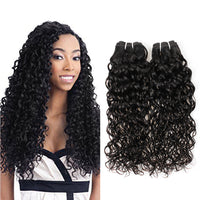 LH Hair Indian Human Virgin Hair Water Wave 3 Bundles